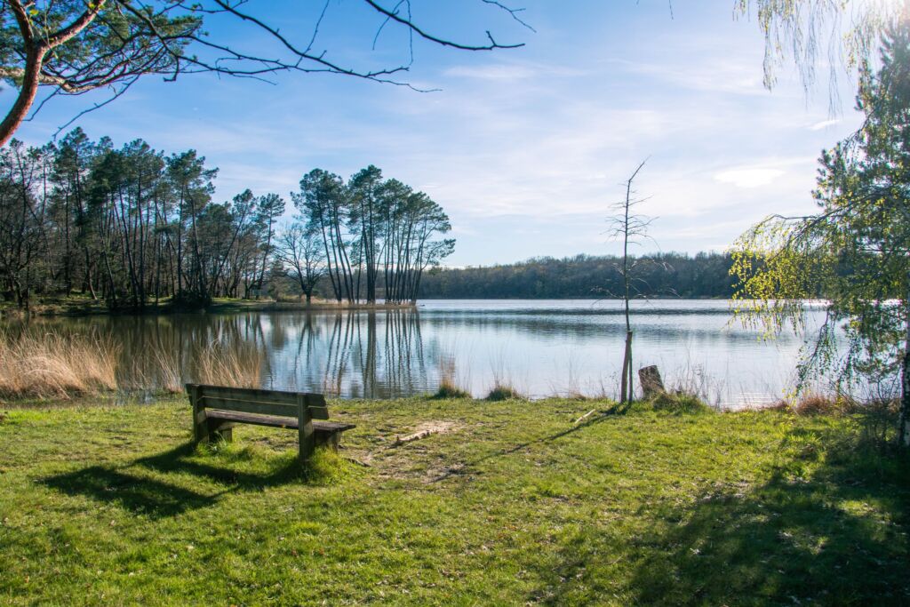 Grand Étang de la Jemaye