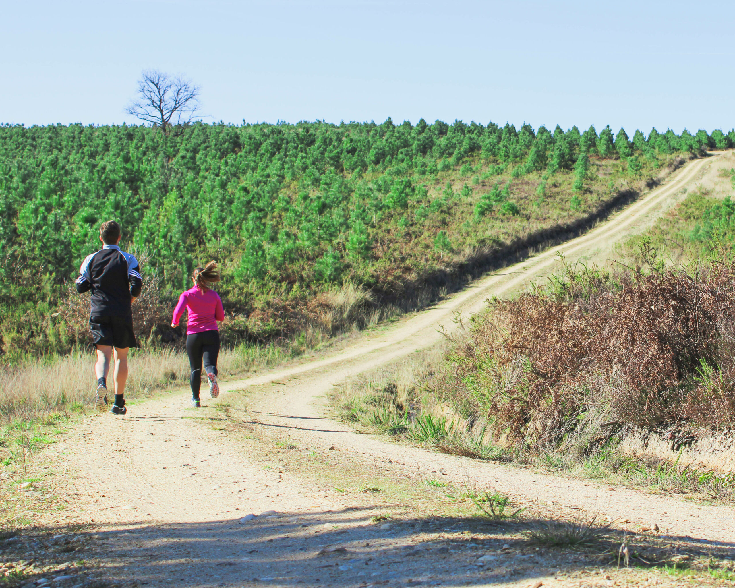 Trail au cœur de la forêt de la Double - Siorac de Ribérac