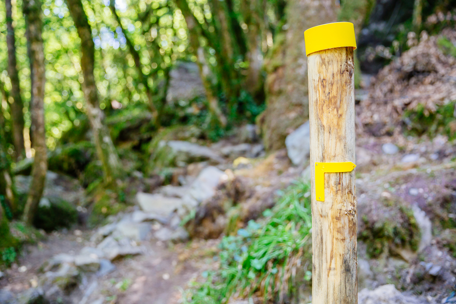 Balisage sentier de randonnée PDIPR