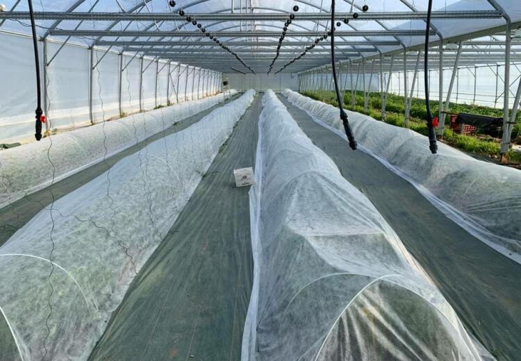 Le Potager de Bellevue