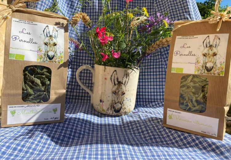 Les Pernelles Infusions