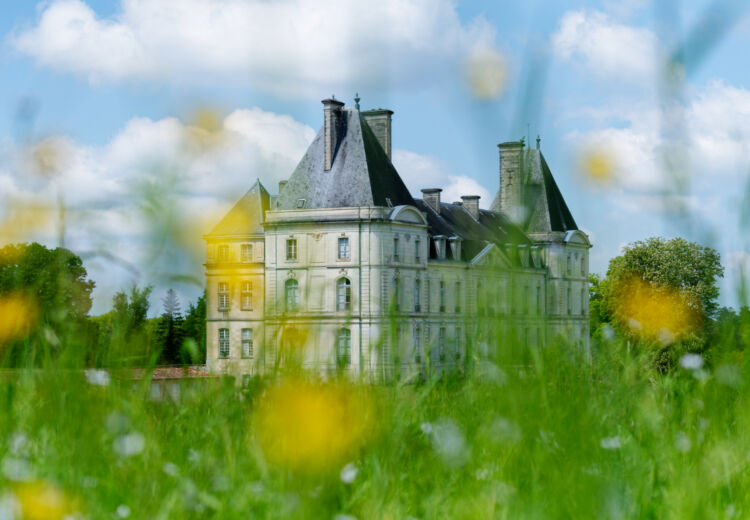 2025 Château de Fayolle TOCANE SAINT APRE