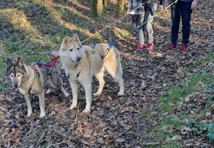 2025 ÉTÉ ACTIF Cani Rando Soudat