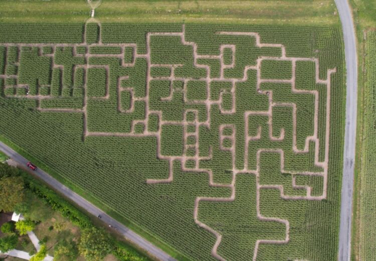2025 Labyrinthe Végétal VENDOIRE (4)