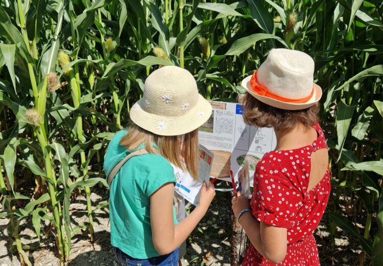 Périgord Inattendu - Été Actif, Labyrinthe-Végétal