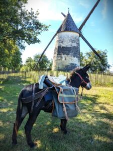 2026 Sensori'Ane Paussac St Vivien (2)