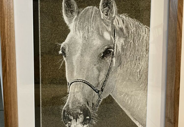 2026 Virginie Legrand Siorac de Ribérac (2)