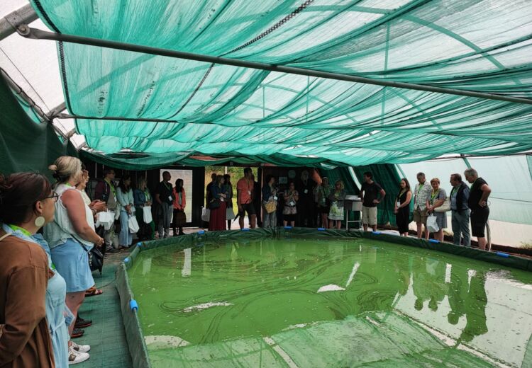 Spiruline Vallée de la Dronne