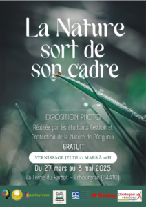 exposition photo - la nature sort de son cadre