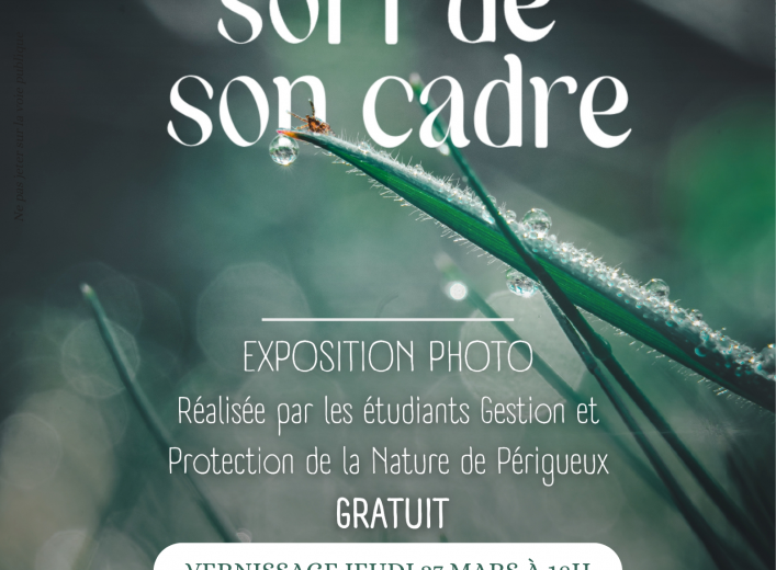 exposition photo - la nature sort de son cadre