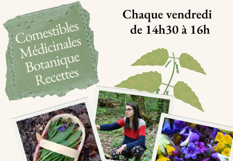 Atelier plantes-Cléophée-Avril