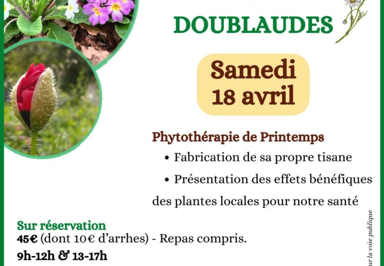 Atelier tisane 18042026