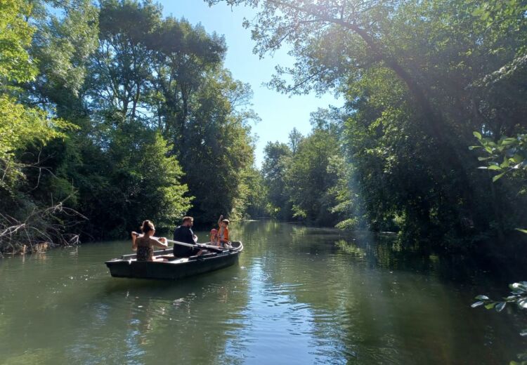 Balade en barque