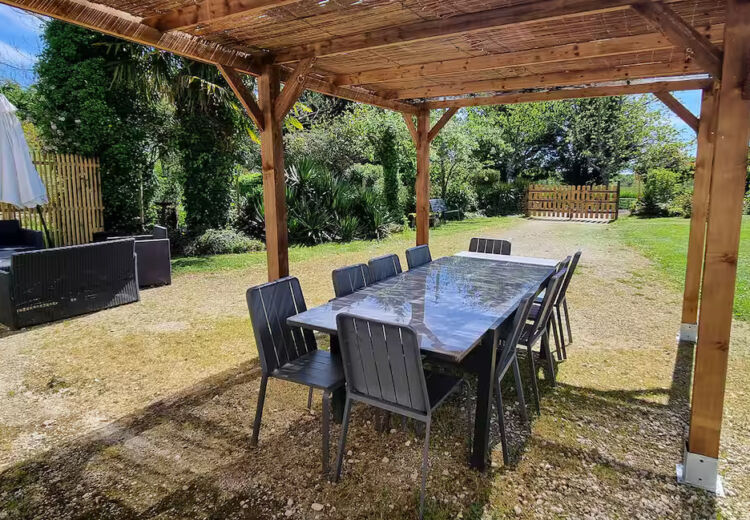 Bergier - Les Libellules (6)