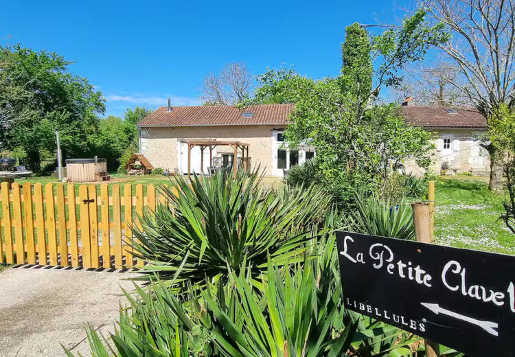 Bergier - Les Libellules (8)