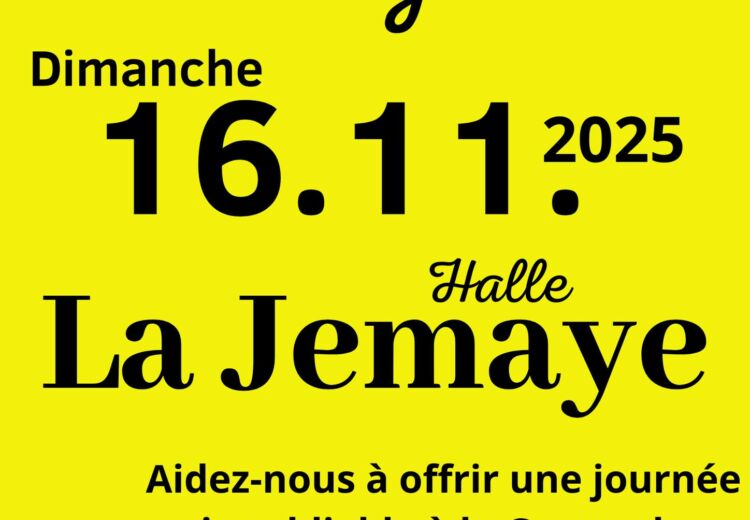 Bourse aux jouets la Jemaye 16 nov