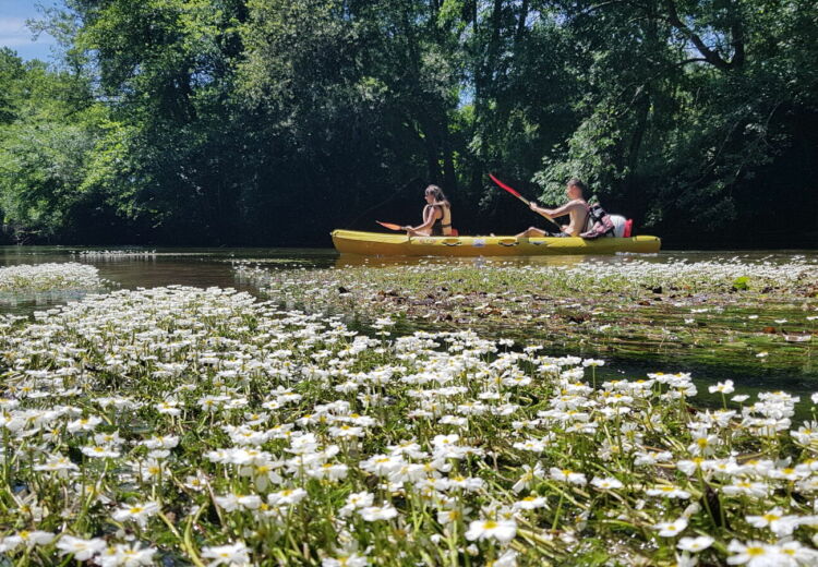 Canoë PARCOUL