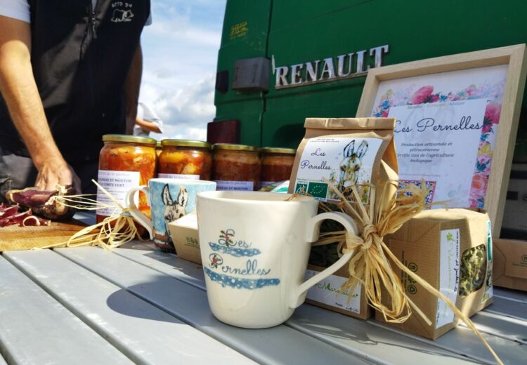 Didier Pernet Paturage Itinérant (1)