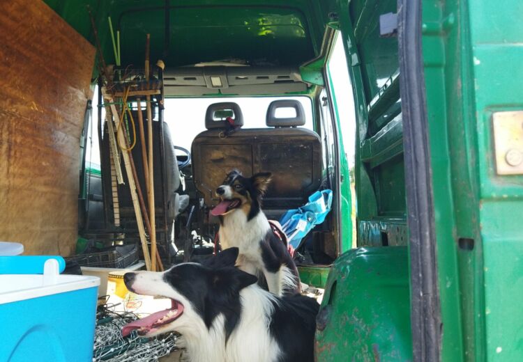 Didier Pernet Paturage Itinérant (14)