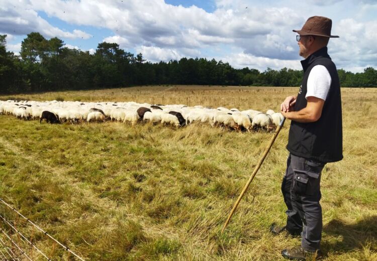 Didier Pernet Paturage Itinérant (7)