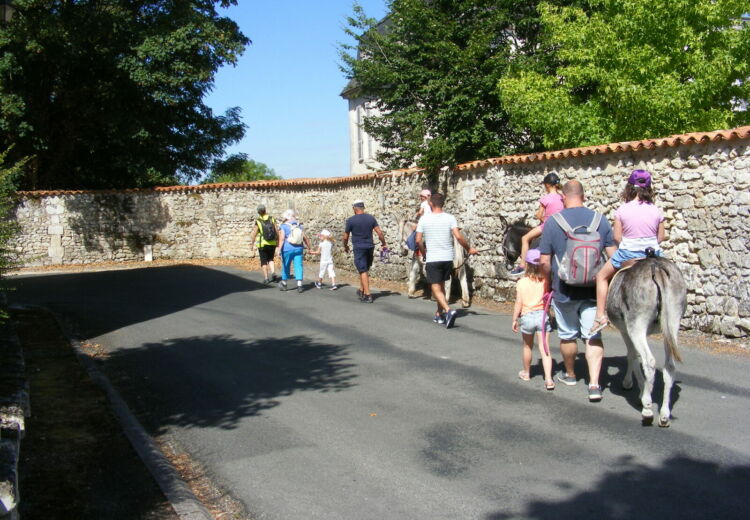 Echappée Verte - NANTEUIL AURIAC DE BOURZAC (8)