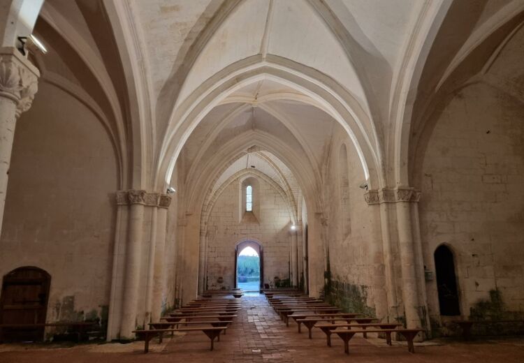 Église_Saint-Cybard,_Cercles