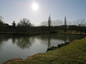 Etang de Celles