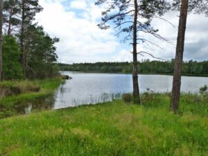 Etang de la Jemaye_Ot Périgord Ribéracois