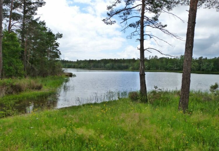 Etang de la Jemaye_Ot Périgord Ribéracois