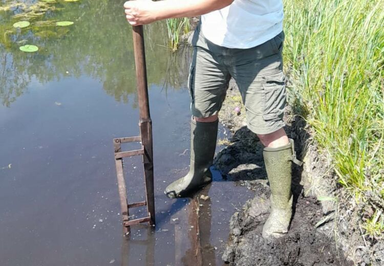 Extraction de Tourbe