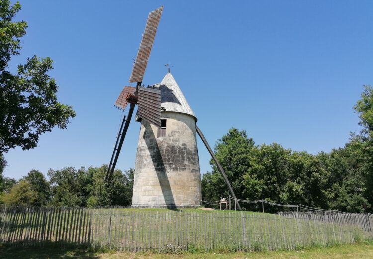 Fête des Moissons La Tour Blanche (1)