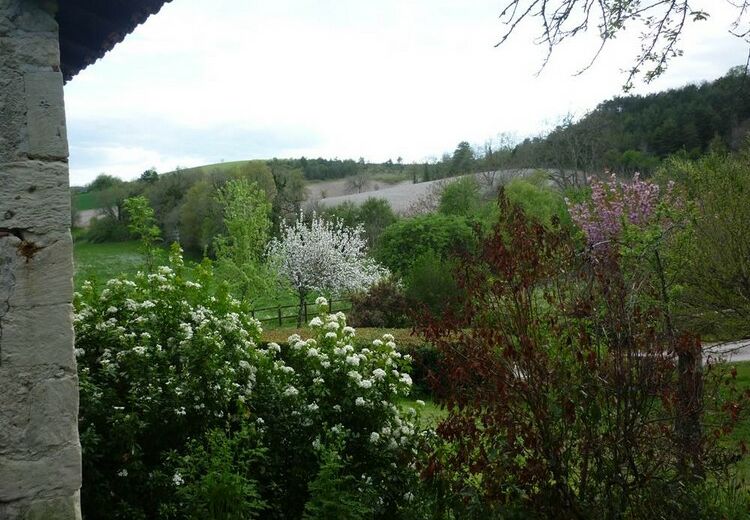 Gîte Cabosse - Montagrier (4)