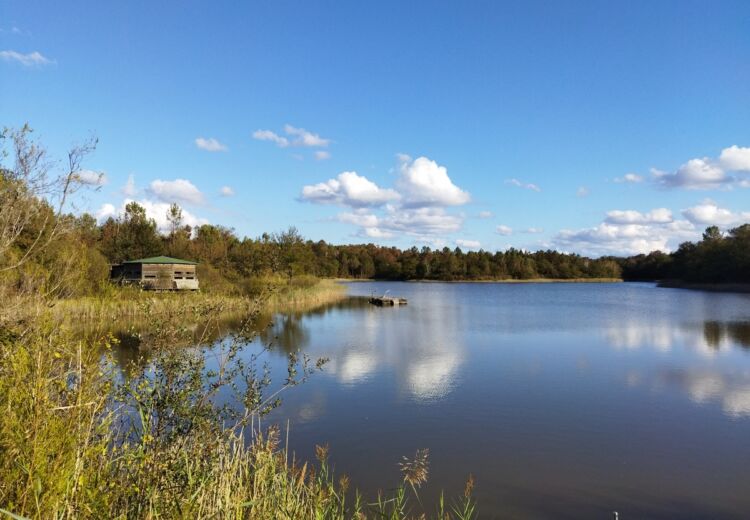 Grand Etang de la Jemaye