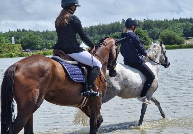 Haras du mas 1