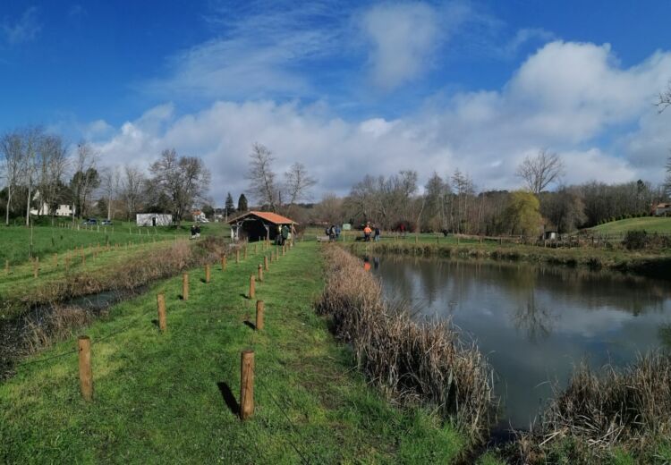 Zone Humide du Lavoir du Gau