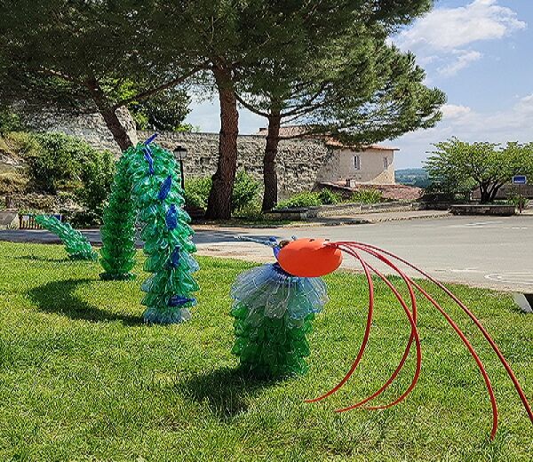 IMG_20240508_140620 (1)