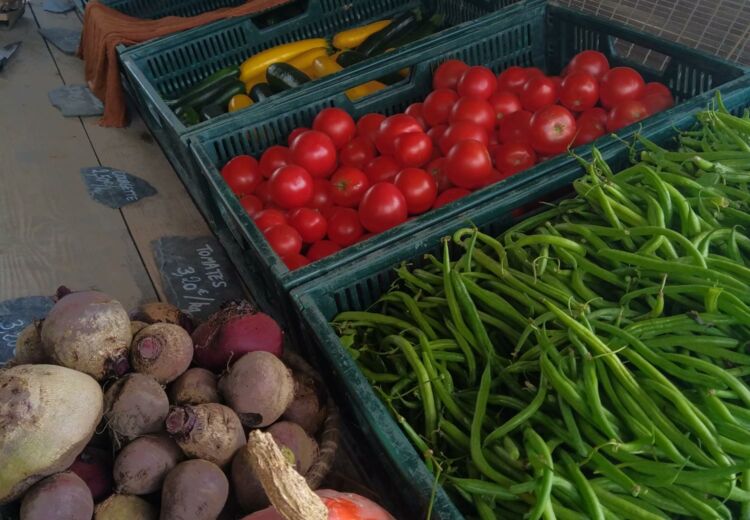 divers légumes