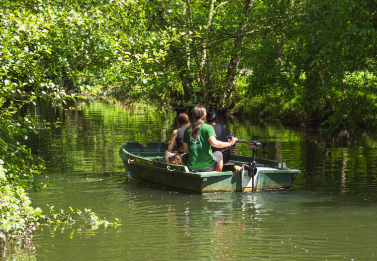 Balade en barque