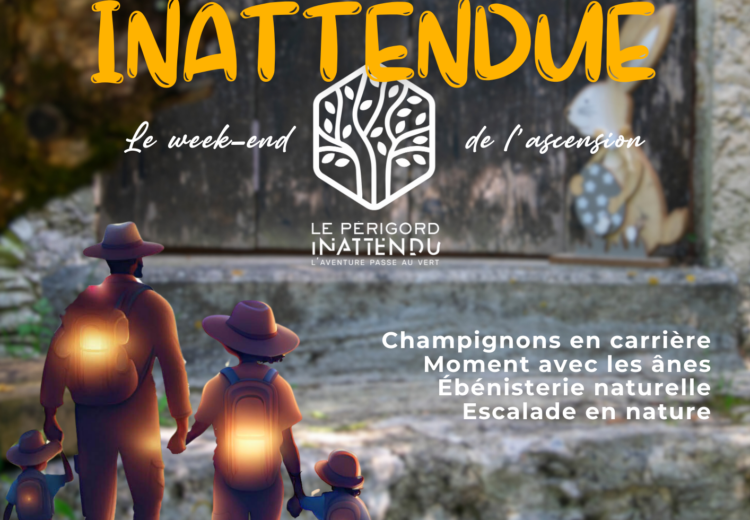 affiche Expérience Inattendu l'aventure en famille - Journées 1 30 mai (2)