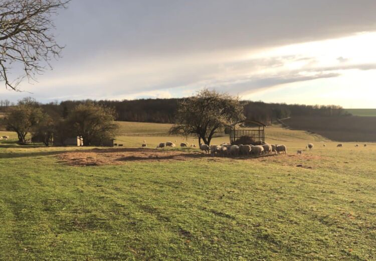 La Ferme du bon sens 3