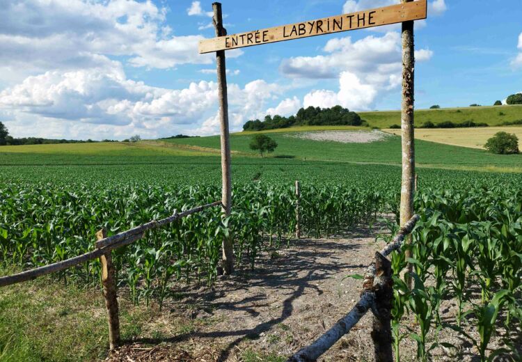 Labyrinthe (8)