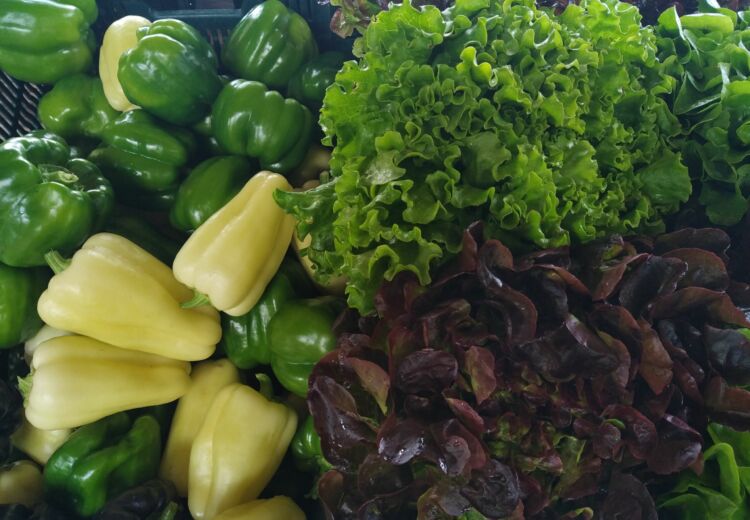 Légumes verts