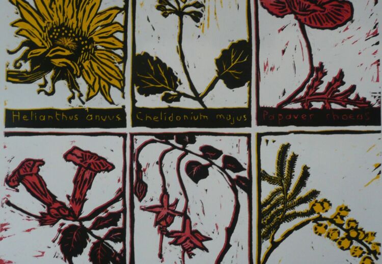 Linogravure
