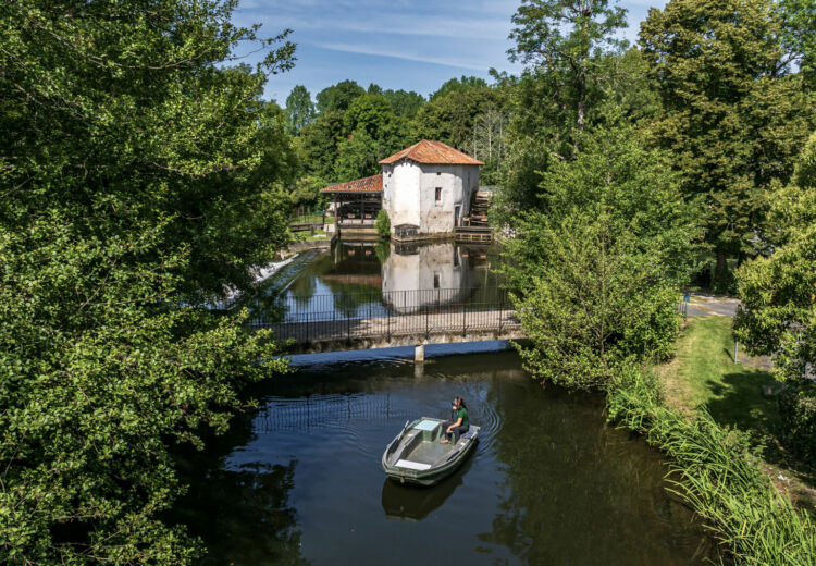 MAISON DE LA DRONNE (39)