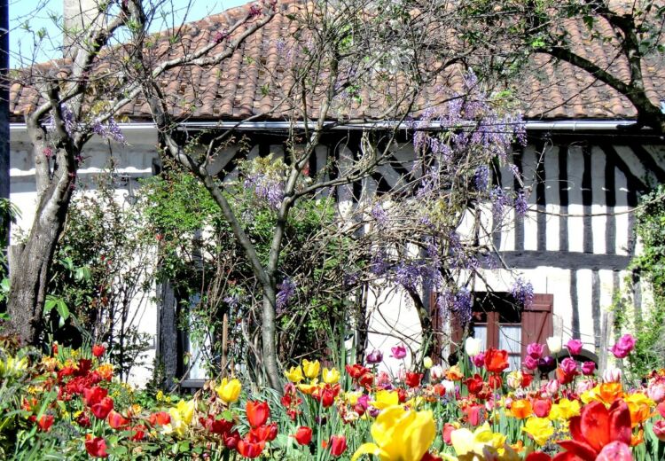 Maison pan de bois Saint Michel Léparon