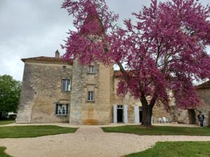 Manoir Du Lau (4)