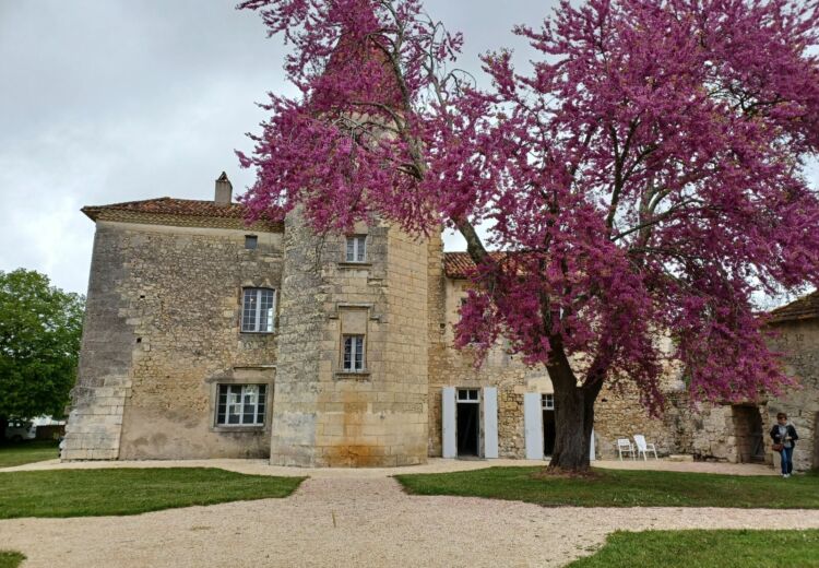 Manoir Du Lau (4)