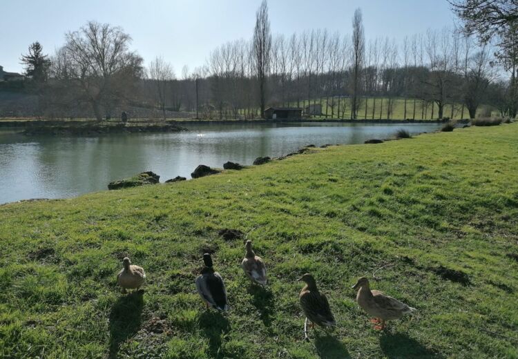 Périgord Inattendu - Étang de Celles