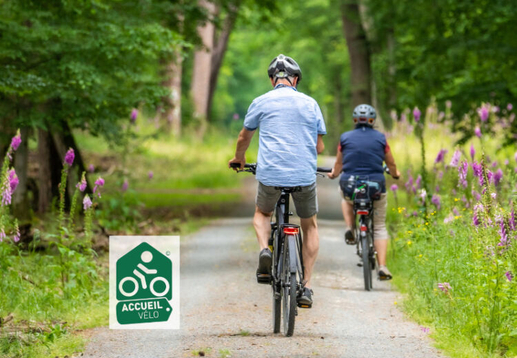 Photo pour Sirtaqui - 3