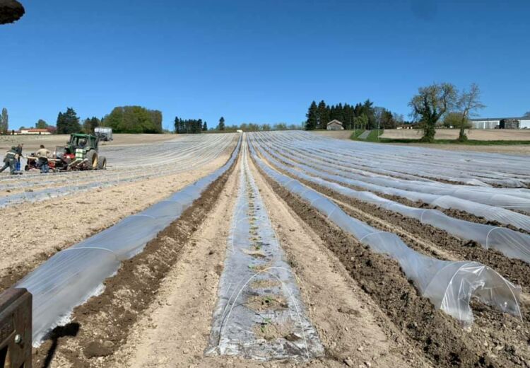 Potager de Bellevue